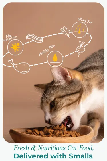 Cat eating with benefit-orbit callouts