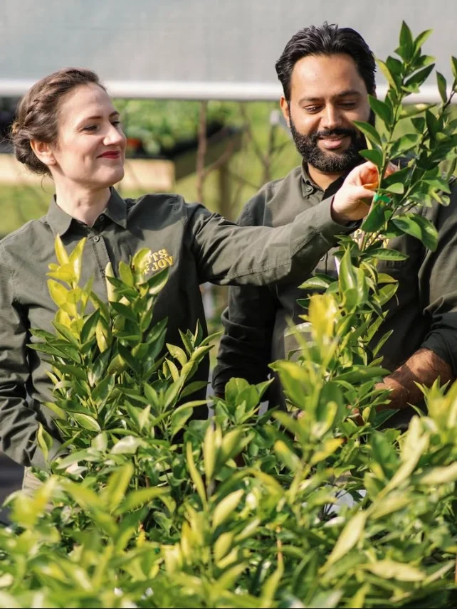 Harry & Maria, Owner, Pots of Joy